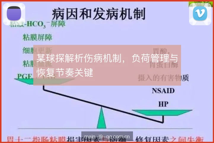 某球探解析伤病机制，负荷管理与恢复节奏关键